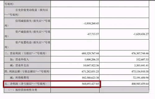 什么是股票的ROE?