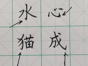 度的笔顺，度的笔顺正确的写法