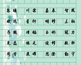 名字寓意，名字寓意查询解析