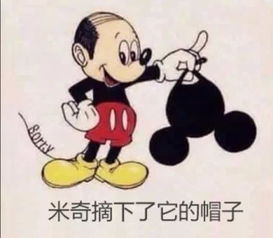 富婆钢丝球是什么意思