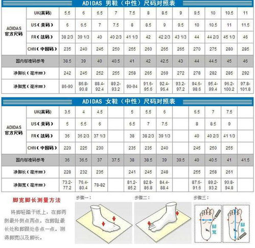 255是多少码
