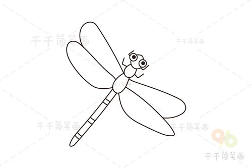 蜻蜓简笔画步骤图