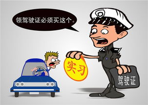 驾照满一年可以上高速吗，拿到驾照满一年可以上高速吗