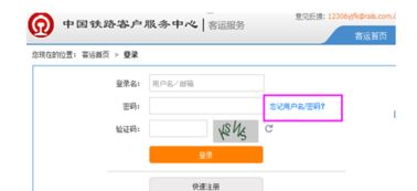 12306密码的正确格式示范模板,12306密码怎么填都不对