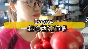 暴食后如何补救?
