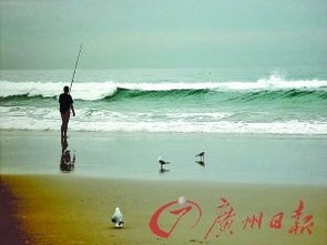 在海边钓鱼技巧