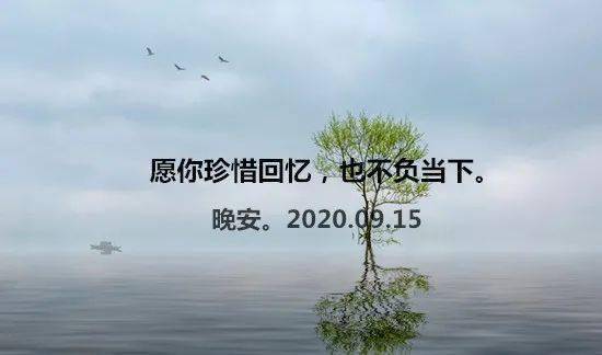 不是……而是……造句