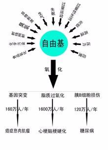 自由基是什么，自由基是什么?对人体有何危害