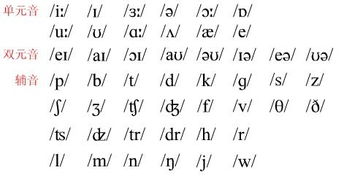 元音字母都有哪些