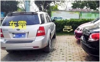 车挡住怎么找车主电话