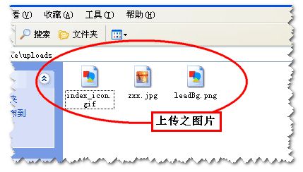demo是什么意思中文，demo是什么意思中文翻译怎么读