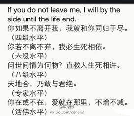 will是什么意思，win是什么意思
