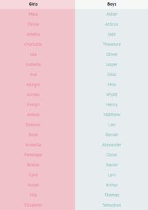 你叫什么名字用英语怎么说
