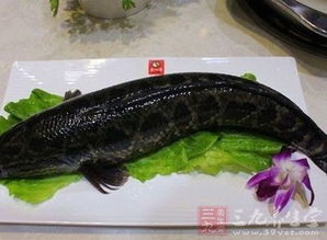 黑鱼怎么做好吃又简单，黑鱼怎么做好吃又简单家常的视频