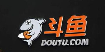 斗鱼网，斗鱼网页无法加载