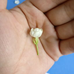 沁人心脾意思解释是什么