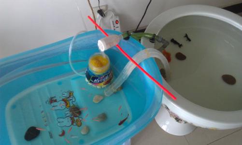 小金鱼喂食一次多少粒 小金鱼怎么喂食
