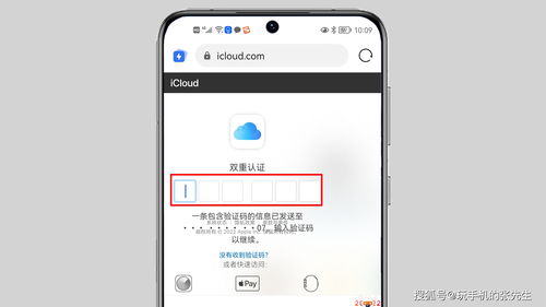 苹果锁屏密码忘了怎么处理