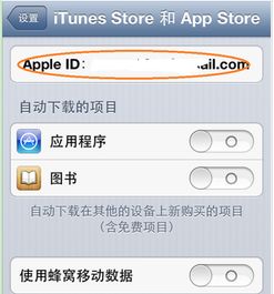 苹果手机的appleid是什么?