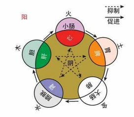 沁人心脾的意思是什么