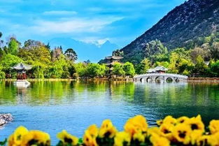 11月份国内有什么必去的旅游景点