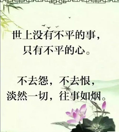 不是而是，不是而是造句