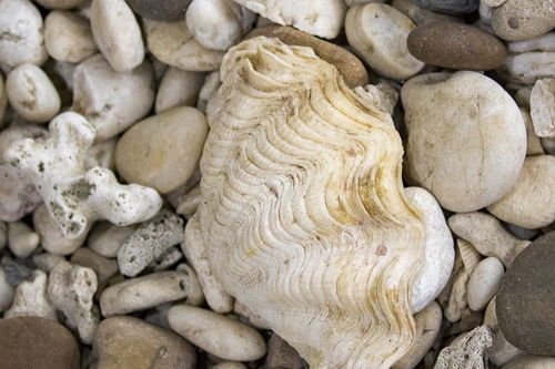 "清泉石上流"的上一句是什么?