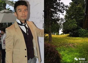 丁父忧的意思丁父忧的意思是什么