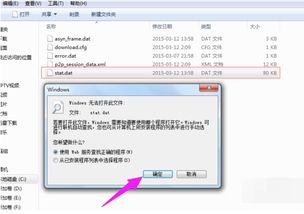 DAT是什么文件格式?