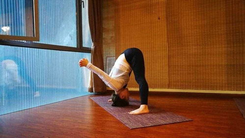 瑜伽教练赚钱吗