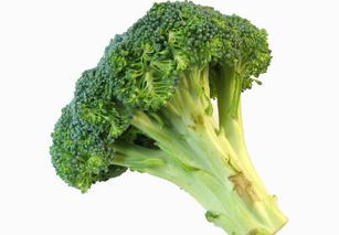 西兰花的功效与作用都有哪些呢?