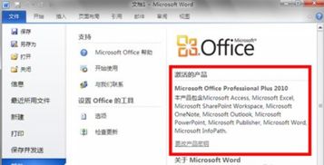 查看office是否永久激活状态