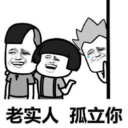 什么是老实人?