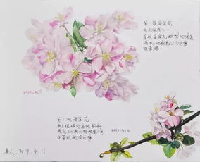 赞美春花的诗句有哪些 赞美春花的诗句