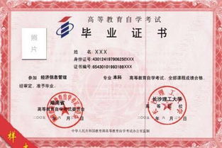 本科是什么意思?