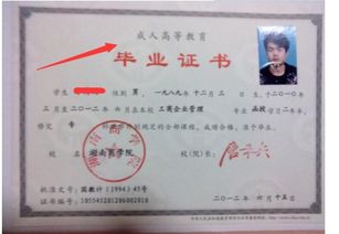 什么是本科学历