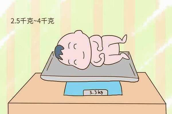 一斤等于几两?