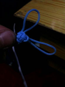 编制是什么意思