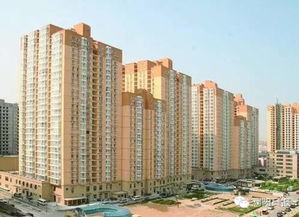 浮尘层，浮尘层是啥意思