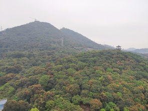 清溪大王山森林公园，清溪大王山森林公园好玩吗