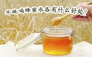 喝蜂蜜水的好处和坏处