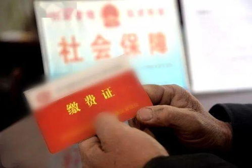个人买社保和企业交社保有区别吗