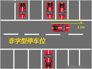 车位怎么选哪个位置好