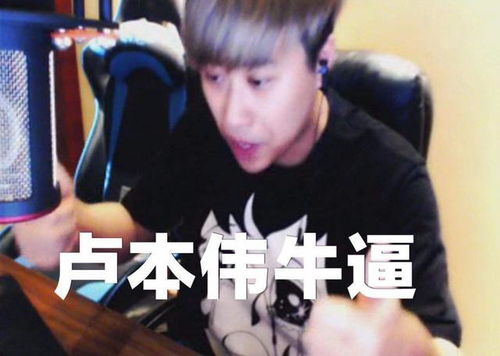 卢本伟是谁旗下
