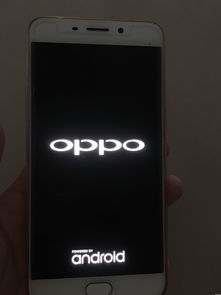 oppo手机强制重启，oppo手机强制重启方法