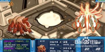 赛尔号谱尼怎么打最快