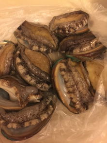鲍鱼应该如何清洗?