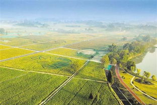 乡村振兴的五个振兴是什么?