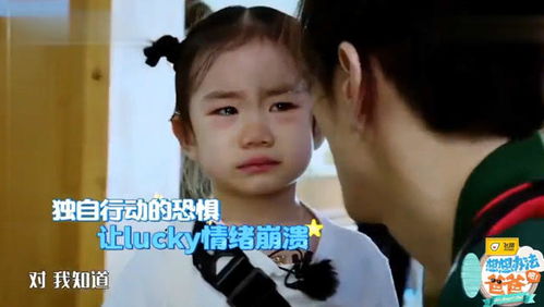 想想办法吧爸爸在哪里可以看 陈飞宇带的双胞胎是谁的孩子