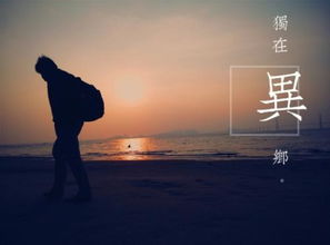 独在异乡，独在异乡为异客,每逢佳节倍思亲
